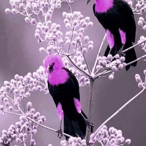 Meet your Posher, Kristy